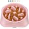 Non Slip Slow Feeder Dog Bowl Puzzle Anti Gulping Feeding Dish For Puppies And Small Dogs 0