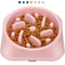 Non Slip Slow Feeder Dog Bowl Puzzle Anti Gulping Feeding Dish For Puppies And Small Dogs 0