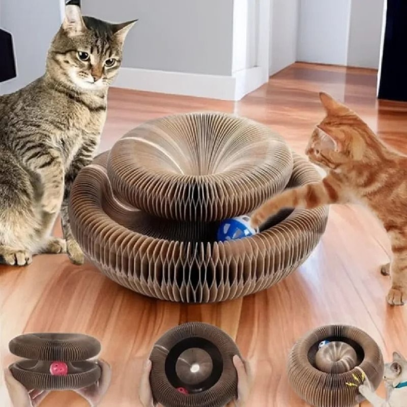 Foldable Magic Organ Cat Scratching Board Interactive Cardboard Cat Bed Toy 0