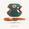 Cute Bear Pet Harness And Leash Set Adjustable Breathable Vest For Dogs And Cats 1