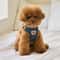 Cute Bear Pet Harness And Leash Set Adjustable Breathable Vest For Dogs And Cats 8