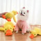 Plush Squeaky Dog And Cat Toy For Teething Puppies And Boredom Relief 11