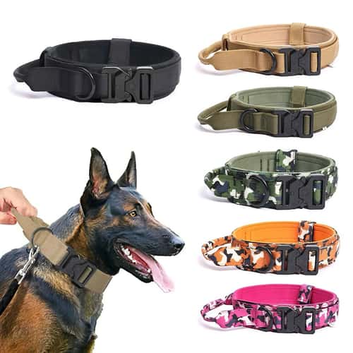 Adjustable Tactical Dog Collar and Training Leash Set for Medium and Large Dogs