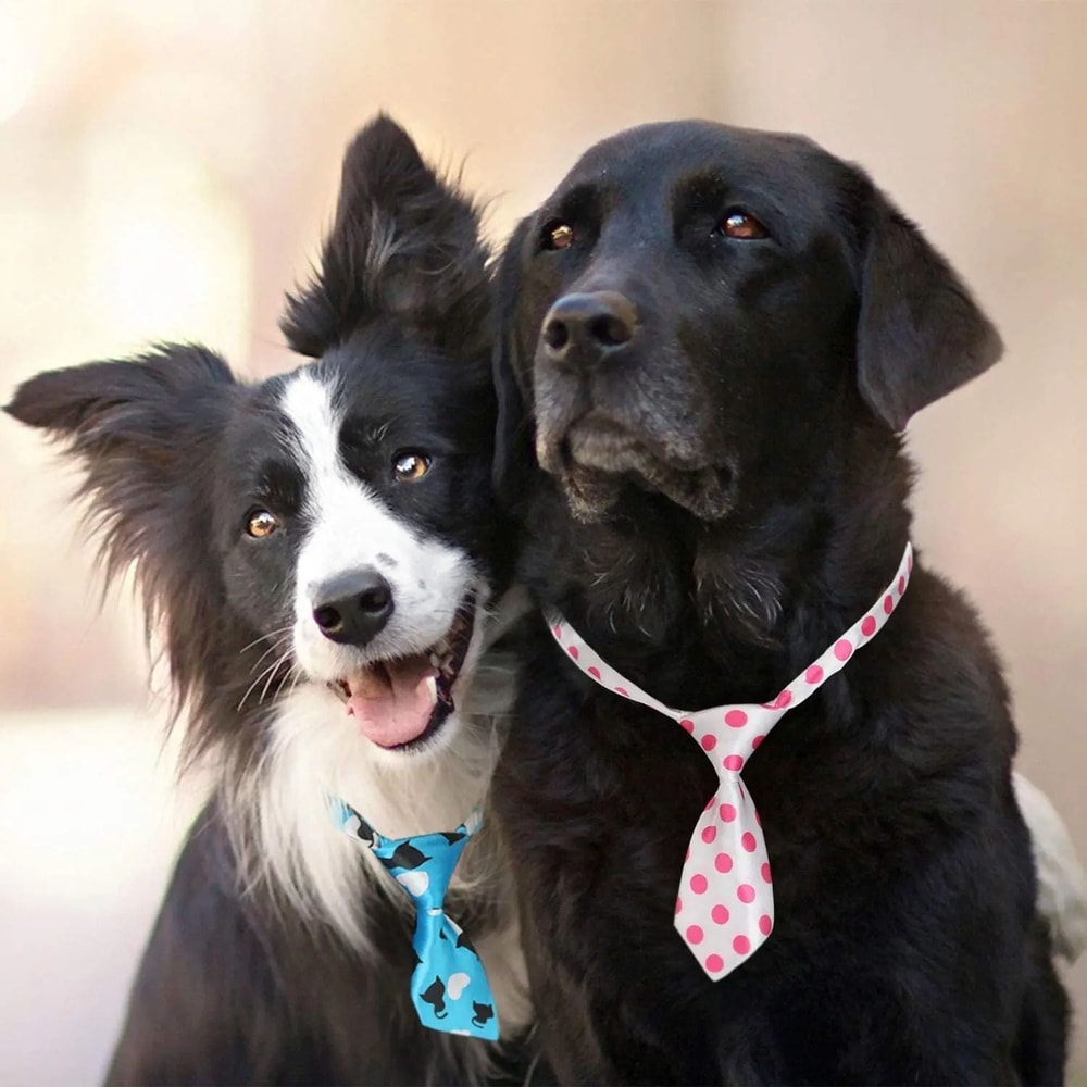 Adjustable Pet Bow Ties And Neckties Accessories For Small Dogs And Cats 4