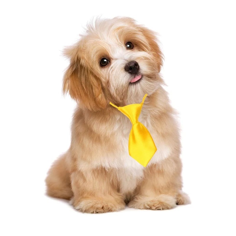Adjustable Pet Bow Ties And Neckties Accessories For Small Dogs And Cats 7