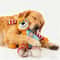 Interactive Plush Squeaky Pet Chew Toy For Dogs And Cats 4
