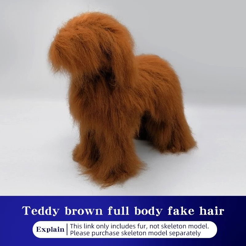Teddy Dog Grooming Practice Model Full Body Pet Groomer Training Dummy 2