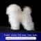 Teddy Dog Grooming Practice Model Full Body Pet Groomer Training Dummy 3