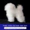 Teddy Dog Grooming Practice Model Full Body Pet Groomer Training Dummy 3