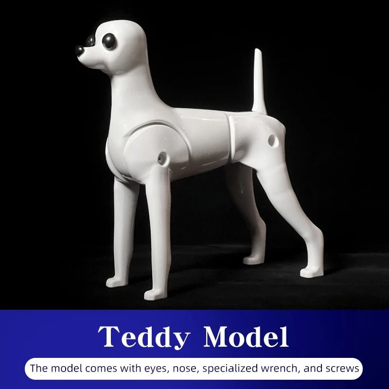 Teddy Dog Grooming Practice Model Full Body Pet Groomer Training Dummy 1