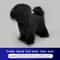 Teddy Dog Grooming Practice Model Full Body Pet Groomer Training Dummy 5