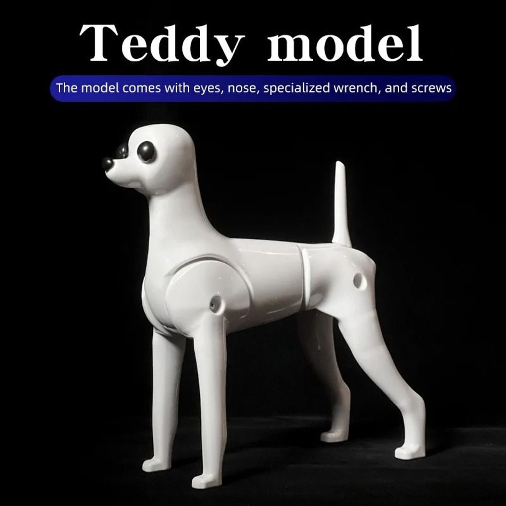 Teddy Dog Grooming Practice Model Full Body Pet Groomer Training Dummy 6