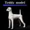 Teddy Dog Grooming Practice Model Full Body Pet Groomer Training Dummy 6