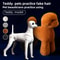 Teddy Dog Grooming Practice Model Full Body Pet Groomer Training Dummy 11