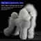 Teddy Dog Grooming Practice Model Full Body Pet Groomer Training Dummy 7