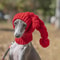 Hand Knit Winter Dog Beanie And Snood For Greyhounds And Large Dogs 1