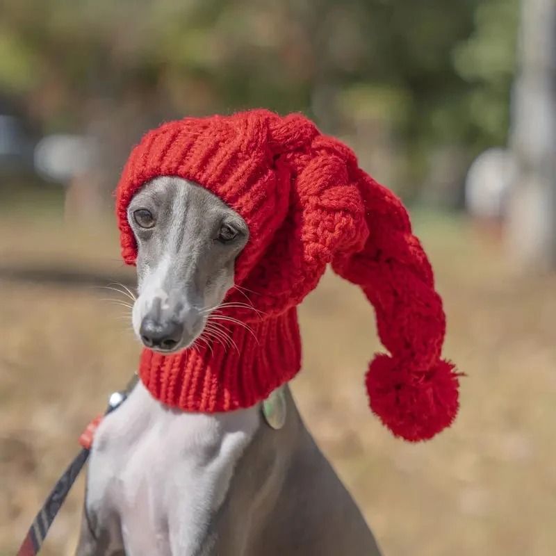 Hand Knit Winter Dog Beanie And Snood For Greyhounds And Large Dogs 1
