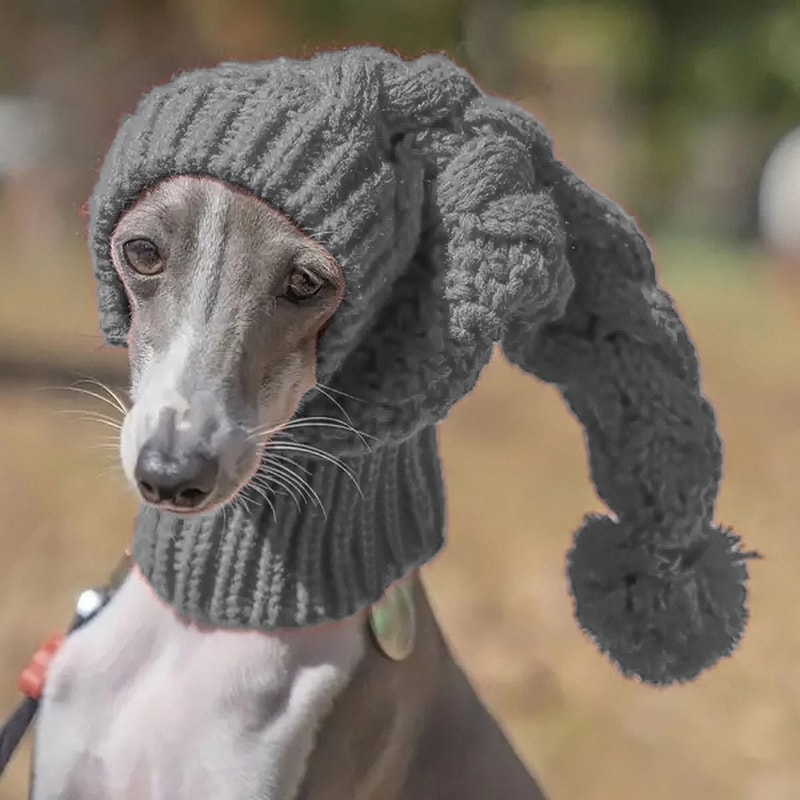 Hand Knit Winter Dog Beanie And Snood For Greyhounds And Large Dogs 2