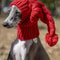 Hand Knit Winter Dog Beanie And Snood For Greyhounds And Large Dogs 6