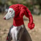 Hand Knit Winter Dog Beanie And Snood For Greyhounds And Large Dogs 7