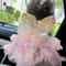 Princess Lace Pet Dress Stripe Skirt Outfit For Dogs And Cats 6