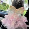 Princess Lace Pet Dress Stripe Skirt Outfit For Dogs And Cats 6
