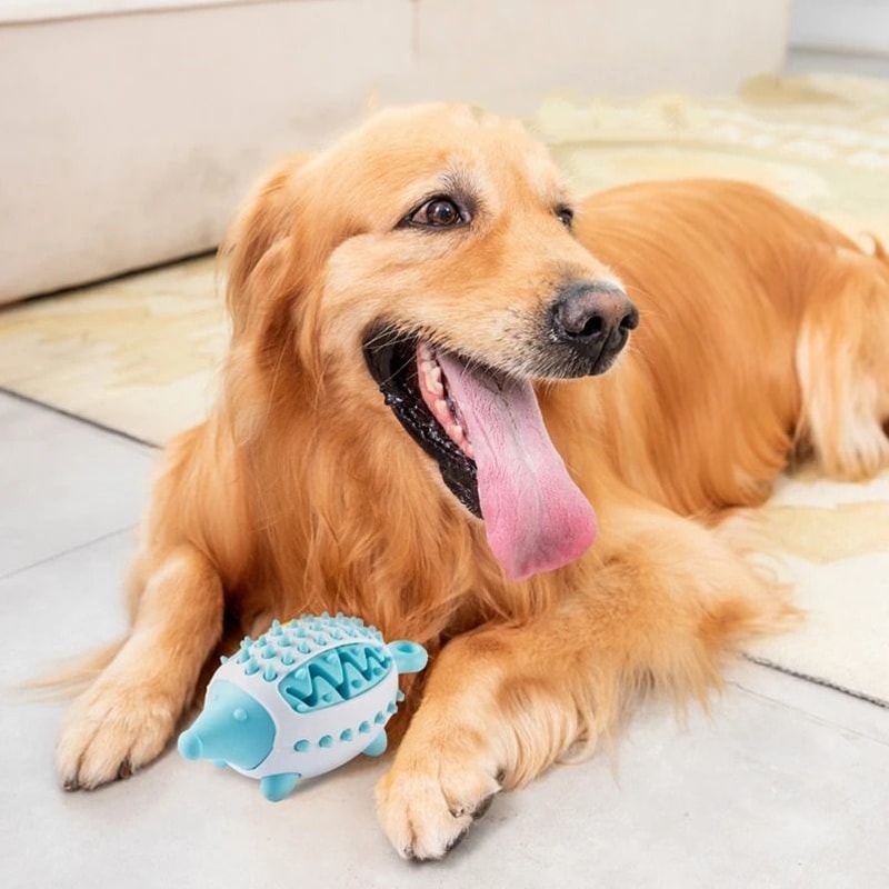 Interactive Hedgehog Treat Dispensing Dog Toy For Chewing And Teeth Cleaning 7