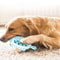 Interactive Hedgehog Treat Dispensing Dog Toy For Chewing And Teeth Cleaning 8