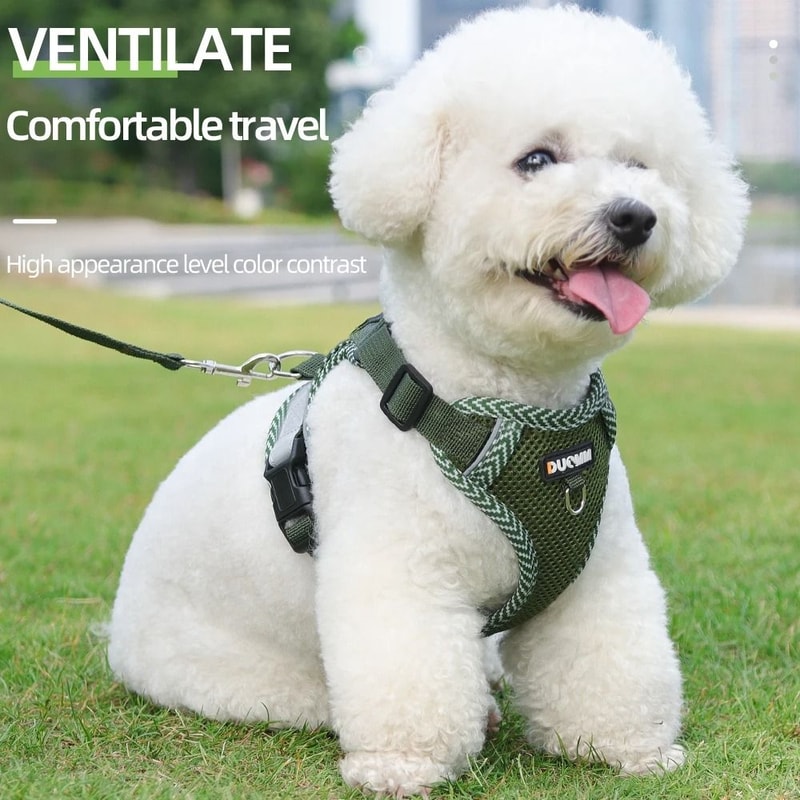 Breathable Reflective Pet Harness And Leash Set For Small And Medium Dogs And Cats 0