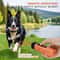 Rechargeable Ultrasonic Dog Training And Bark Control Device With LED Flashlight 4