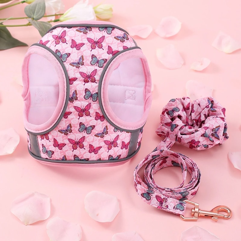 Soft Winter Warm Pet Harness And Leash Set For Small Dogs And Cats 1