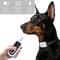 Rechargeable Automatic Anti Bark Dog Training Collar With Long Range Control 7