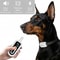 Rechargeable Automatic Anti Bark Dog Training Collar With Long Range Control 7
