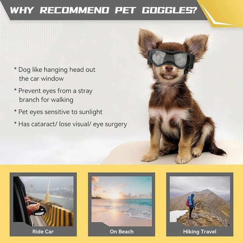 Adjustable UV Protection Dog Sunglasses For Small And Medium Breeds 5