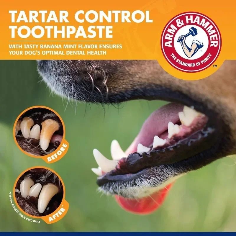 Pet Dental Care Kit With Toothbrush And Toothpaste For Dogs And Cats 7