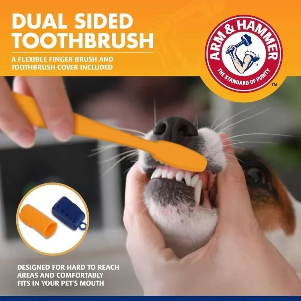 Pet Dental Care Kit With Toothbrush And Toothpaste For Dogs And Cats 10