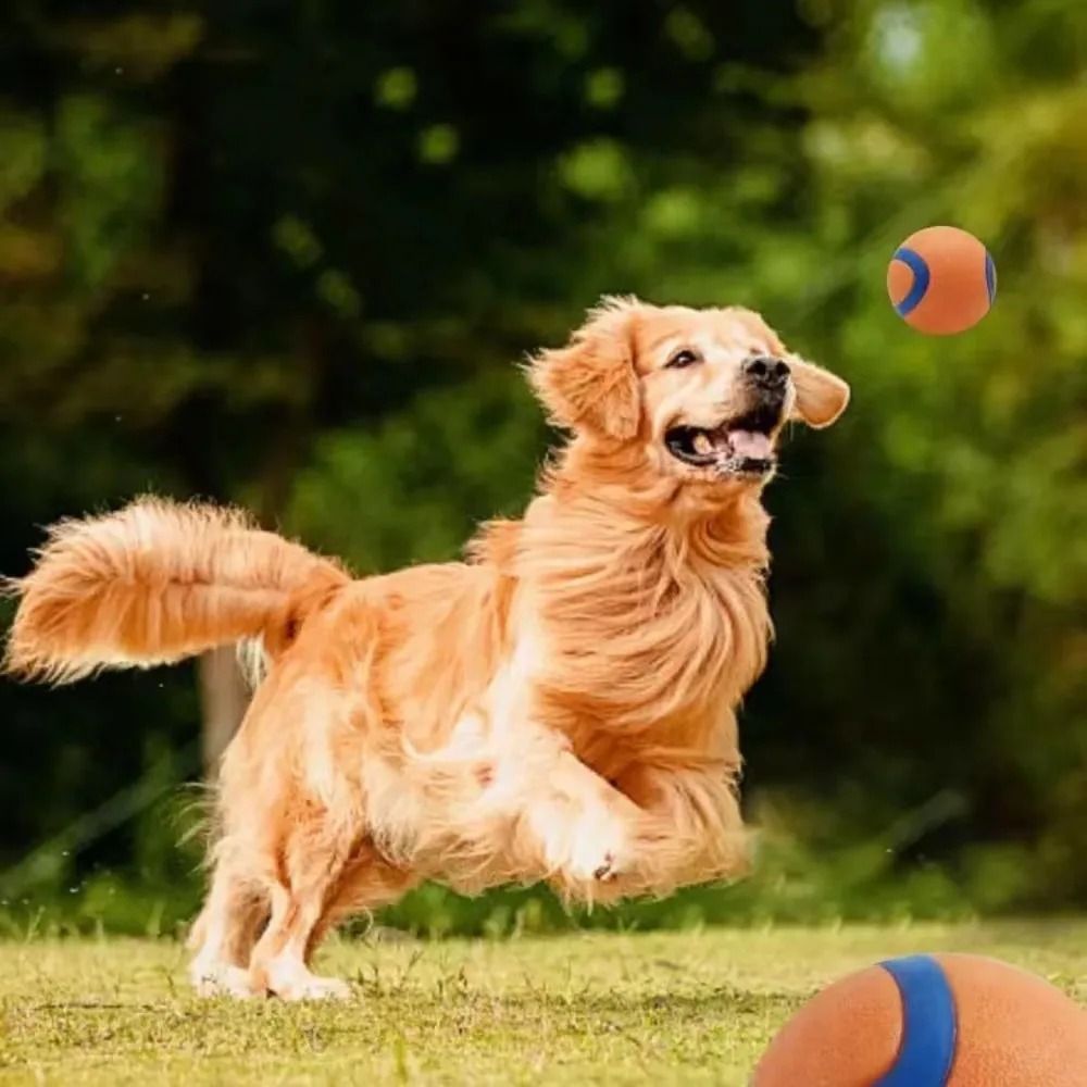 Interactive Tough Dog Fetch Ball Chew Toy For Puppies And Dogs 7