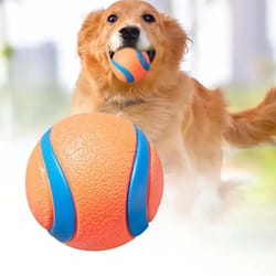 interactive tough dog fetch ball chew toy for puppies and dogs