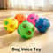 Footprint Rubber Dog Sound Ball Interactive Puppy Chew Toy 6