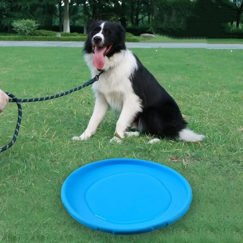 Interactive Silicone Flying Disc Dog Toy For Training And Fetch Play 7