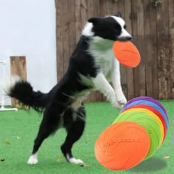 interactive silicone flying disc dog toy for training and fetch play