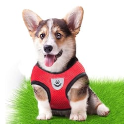 adjustable breathable dog harness vest with walking leash for small and medium pets