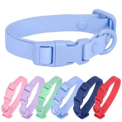 adjustable waterproof dog collar with safety buckle and rustproof hardware