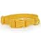 Adjustable Waterproof Dog Collar With Safety Buckle And Rustproof Hardware 5