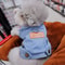 Denim Dog Jacket Outfit With Leash Ring For Small And Medium Dogs 3