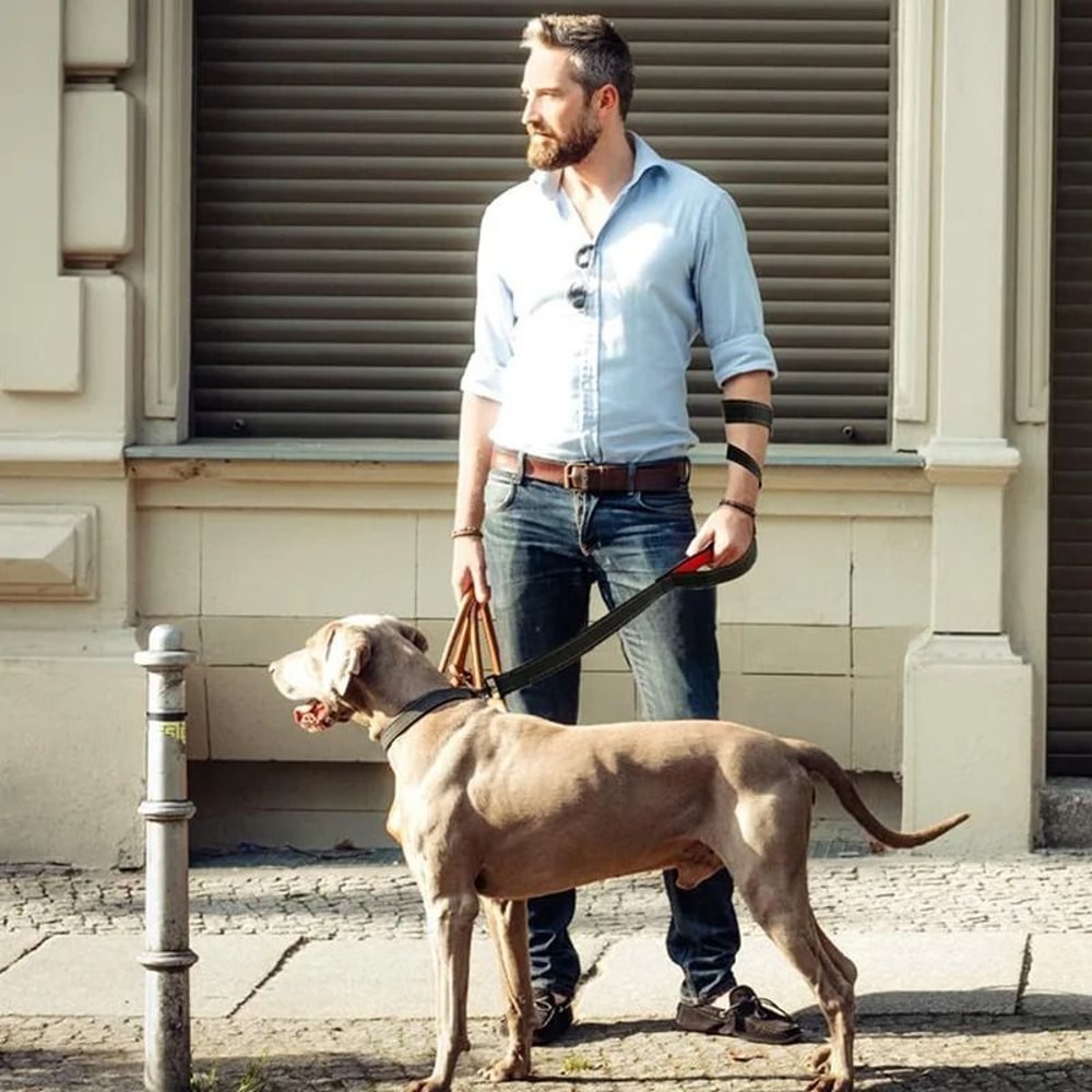 Heavy Duty Double Handle Dog Leash For Training Walking And Control 13