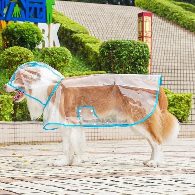 Transparent Waterproof Dog Raincoat Windproof Pet Jacket For Small And Large Dogs 6
