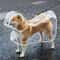 Transparent Waterproof Dog Raincoat Windproof Pet Jacket For Small And Large Dogs 12
