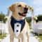 Sucado Pet Wedding Collar With Bow Tie And Bandana For Dogs And Cats 7