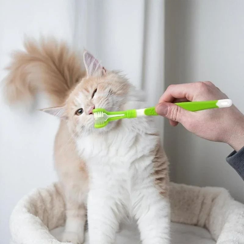 3 Sided Pet Toothbrush For Dogs And Cats Dental Cleaning And Bad Breath Care 6